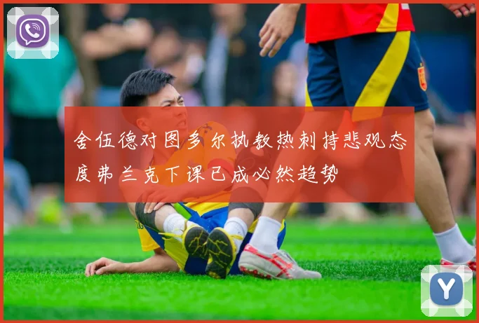 舍伍德对图多尔执教热刺持悲观态度弗兰克下课已成必然趋势
